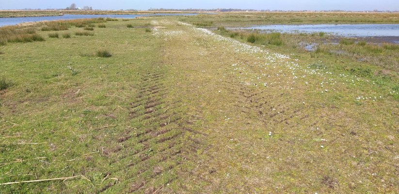 Schaalsmeerpolder plek Veldwerkexpo